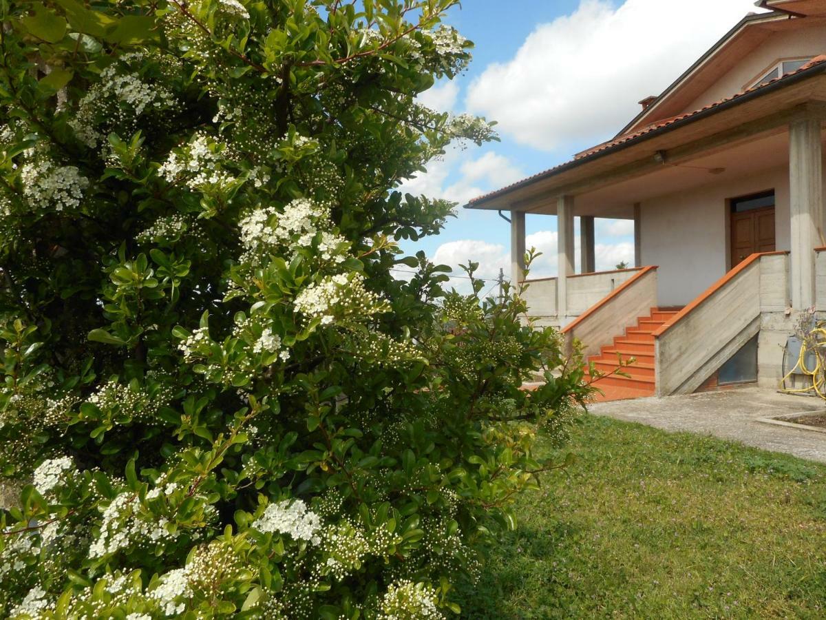Апартаменты Poggio Fiorito Кастильон-Фьорентино Экстерьер фото